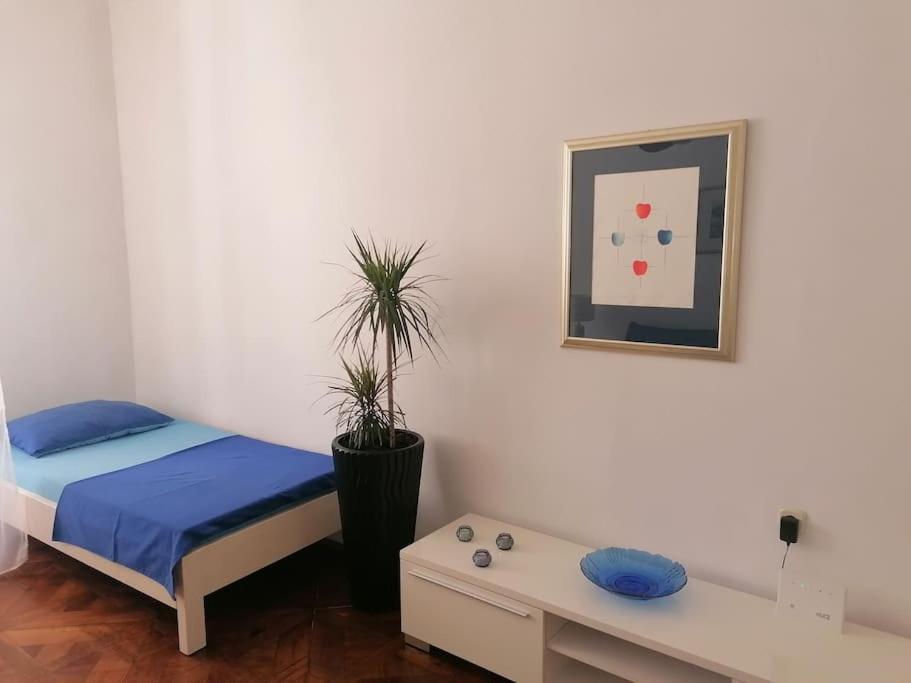 Spacious Mauro & Pia In Center Of Apartment *