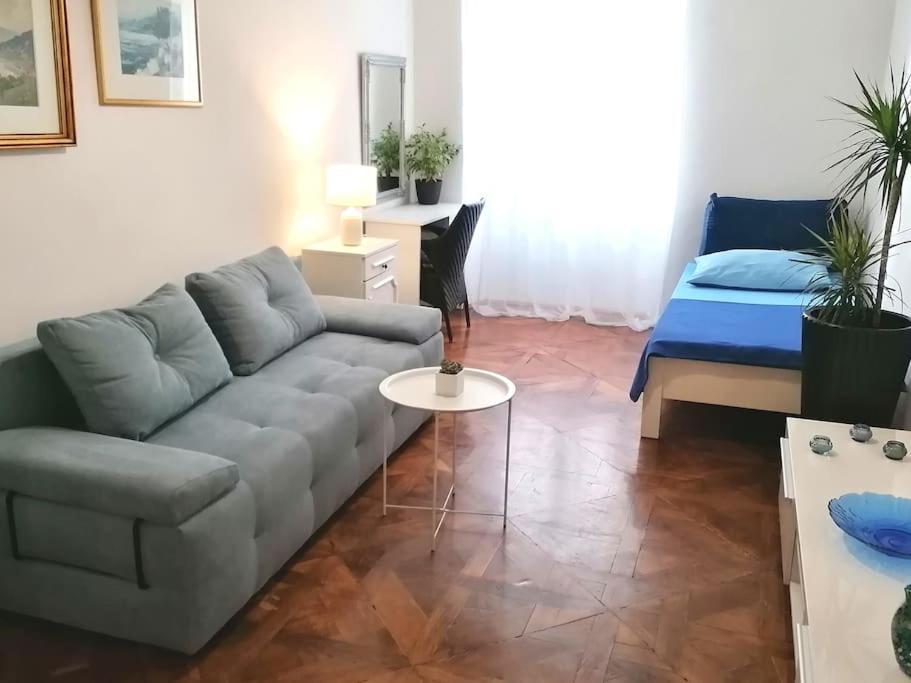 Apartment Spacious Mauro & Pia In Center Of